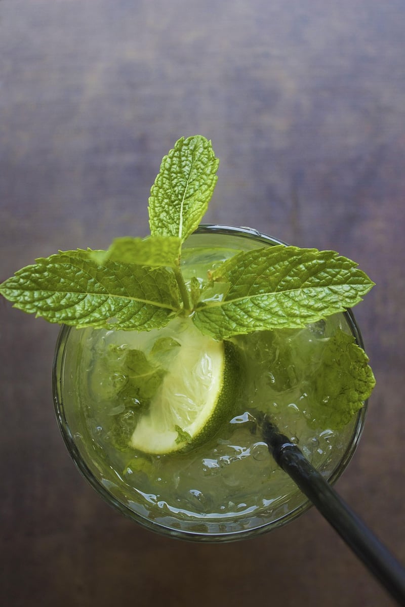 Virgin Mojito Mocktail